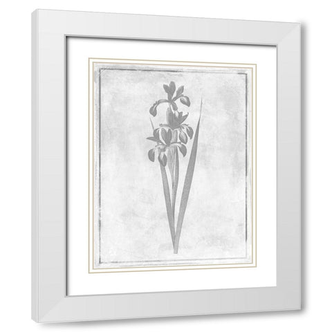 Monochrome Floral Cleaner 4 White Modern Wood Framed Art Print with Double Matting by Grey, Jace