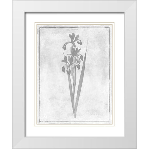 Monochrome Floral Cleaner 4 White Modern Wood Framed Art Print with Double Matting by Grey, Jace