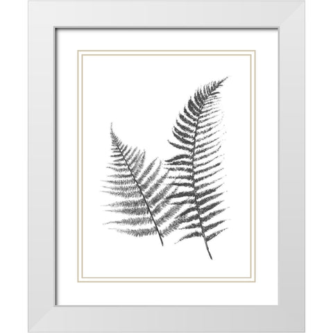 Monochromatic Ferns 1 White Modern Wood Framed Art Print with Double Matting by Grey, Jace