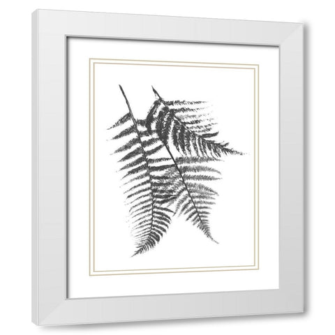 Monochromatic Ferns 2 White Modern Wood Framed Art Print with Double Matting by Grey, Jace