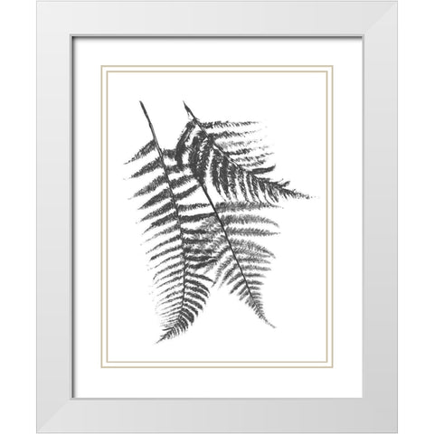 Monochromatic Ferns 2 White Modern Wood Framed Art Print with Double Matting by Grey, Jace