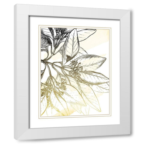 Fade Botanicals White Modern Wood Framed Art Print with Double Matting by Grey, Jace