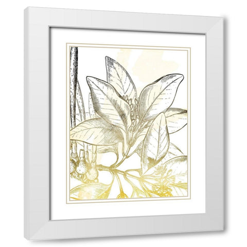 Fade Botanicals Mate White Modern Wood Framed Art Print with Double Matting by Grey, Jace