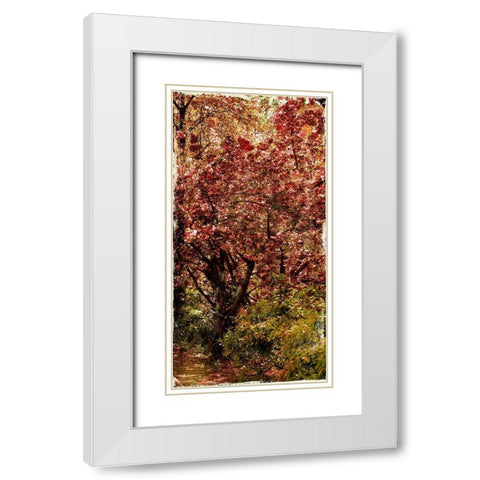 Ny Fall Trees White Modern Wood Framed Art Print with Double Matting by Grey, Jace