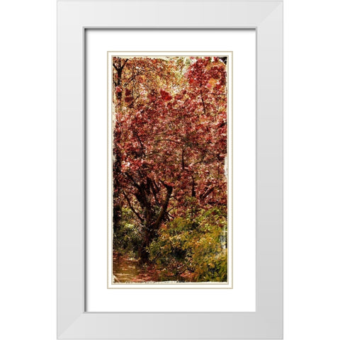 Ny Fall Trees White Modern Wood Framed Art Print with Double Matting by Grey, Jace