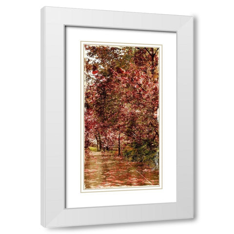 Ny Fall Trees Mate White Modern Wood Framed Art Print with Double Matting by Grey, Jace