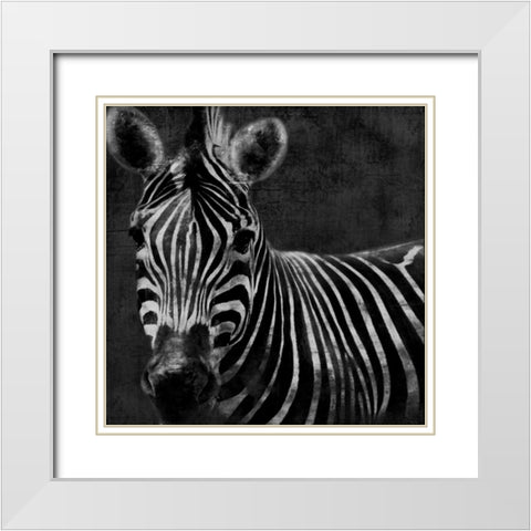 Zebra Black And White White Modern Wood Framed Art Print with Double Matting by Grey, Jace