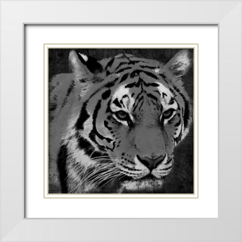 Tiger Black And White White Modern Wood Framed Art Print with Double Matting by Grey, Jace
