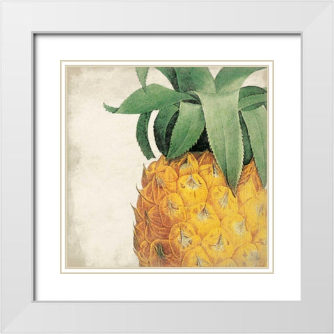 Pineapple White Modern Wood Framed Art Print with Double Matting by Grey, Jace