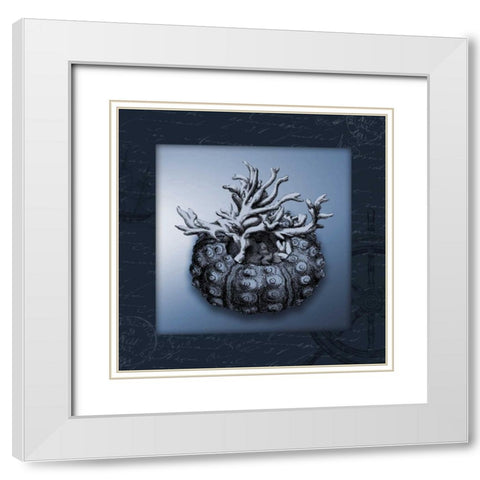 Nautical blue bordered White Modern Wood Framed Art Print with Double Matting by Grey, Jace