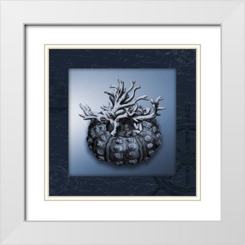 Nautical blue bordered White Modern Wood Framed Art Print with Double Matting by Grey, Jace