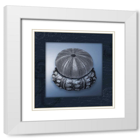 Nautical blue mate Bordered White Modern Wood Framed Art Print with Double Matting by Grey, Jace