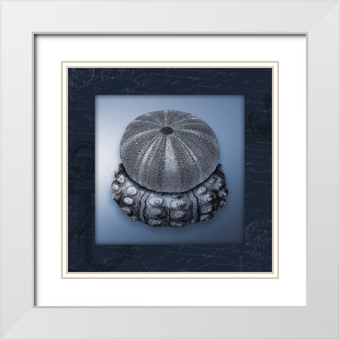 Nautical blue mate Bordered White Modern Wood Framed Art Print with Double Matting by Grey, Jace