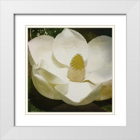 MAG Mate White Modern Wood Framed Art Print with Double Matting by Grey, Jace