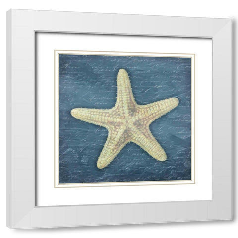 Star Fish Light Blue White Modern Wood Framed Art Print with Double Matting by Grey, Jace