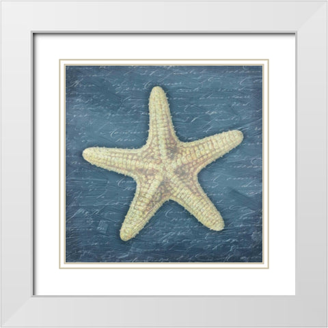Star Fish Light Blue White Modern Wood Framed Art Print with Double Matting by Grey, Jace
