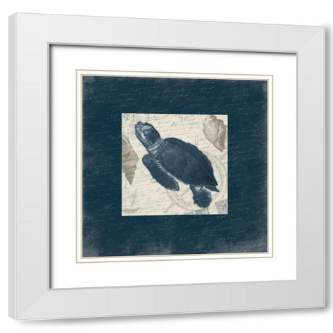 Turtle Bordered White Modern Wood Framed Art Print with Double Matting by Grey, Jace