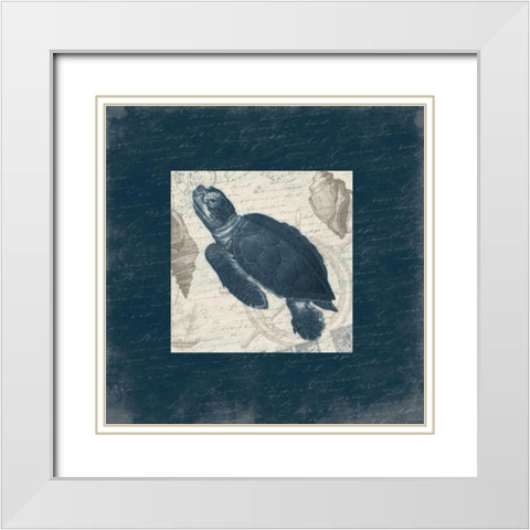 Turtle Bordered White Modern Wood Framed Art Print with Double Matting by Grey, Jace