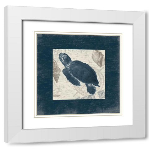 Turtle Bordered White Modern Wood Framed Art Print with Double Matting by Grey, Jace
