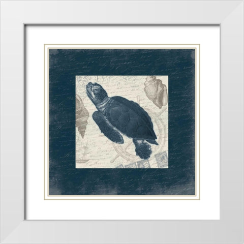 Turtle Bordered White Modern Wood Framed Art Print with Double Matting by Grey, Jace
