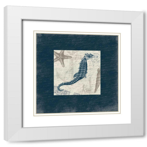 Seahorse Bordered White Modern Wood Framed Art Print with Double Matting by Grey, Jace