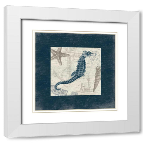 Seahorse Bordered White Modern Wood Framed Art Print with Double Matting by Grey, Jace