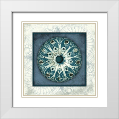 Coastal blue_ bordered White Modern Wood Framed Art Print with Double Matting by Grey, Jace