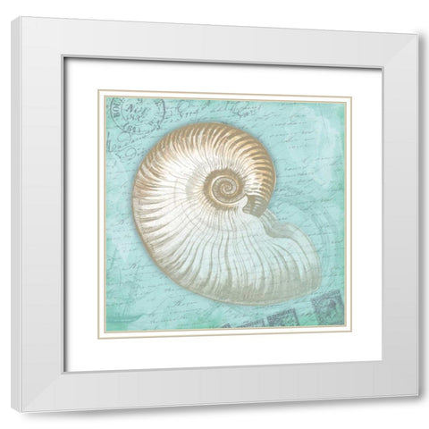 Nautical Shells White Modern Wood Framed Art Print with Double Matting by Grey, Jace