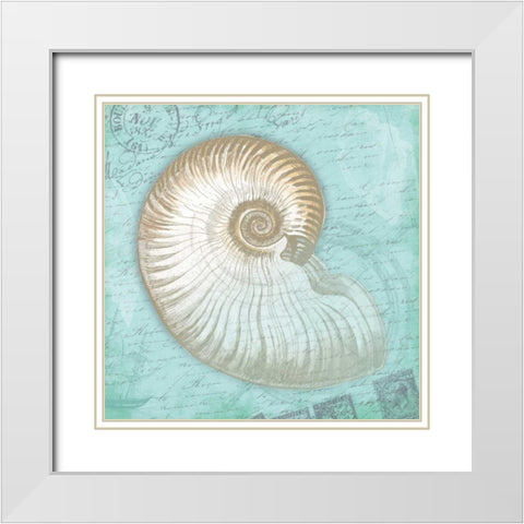 Nautical Shells White Modern Wood Framed Art Print with Double Matting by Grey, Jace