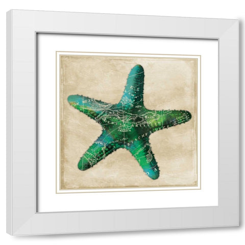 Map Starfish White Modern Wood Framed Art Print with Double Matting by Grey, Jace