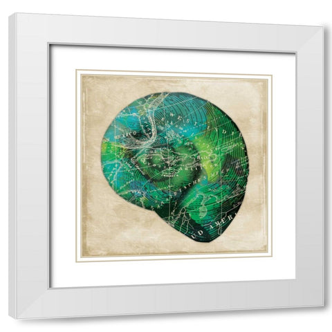 Map Shell2 White Modern Wood Framed Art Print with Double Matting by Grey, Jace