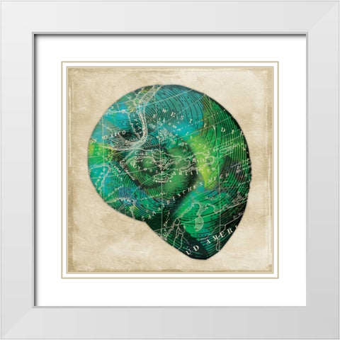 Map Shell2 White Modern Wood Framed Art Print with Double Matting by Grey, Jace