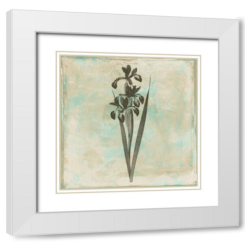 Earthy floral 1 White Modern Wood Framed Art Print with Double Matting by Grey, Jace