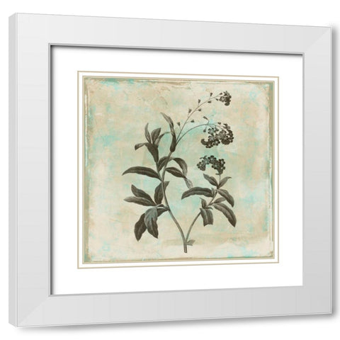 Earthy floral 2 White Modern Wood Framed Art Print with Double Matting by Grey, Jace