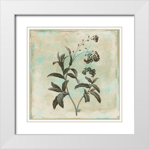 Earthy floral 2 White Modern Wood Framed Art Print with Double Matting by Grey, Jace