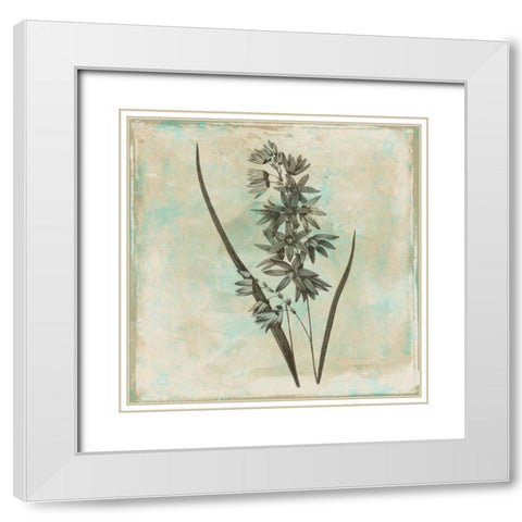 Earthy floral 3 White Modern Wood Framed Art Print with Double Matting by Grey, Jace