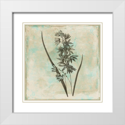 Earthy floral 3 White Modern Wood Framed Art Print with Double Matting by Grey, Jace