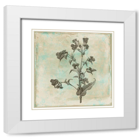 Earthy floral 4 White Modern Wood Framed Art Print with Double Matting by Grey, Jace