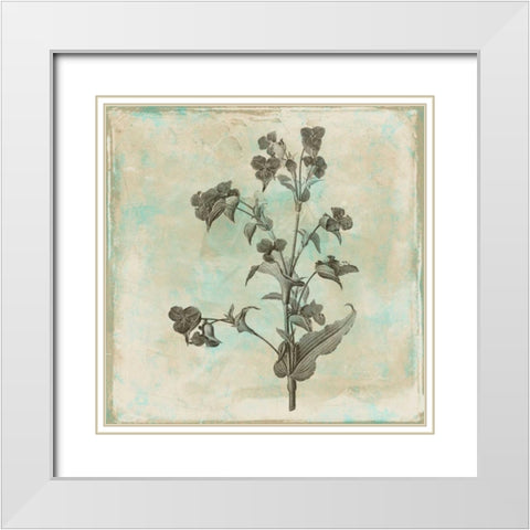 Earthy floral 4 White Modern Wood Framed Art Print with Double Matting by Grey, Jace
