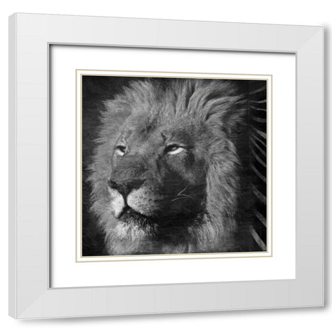 Animal Instincts Black And White White Modern Wood Framed Art Print with Double Matting by Grey, Jace