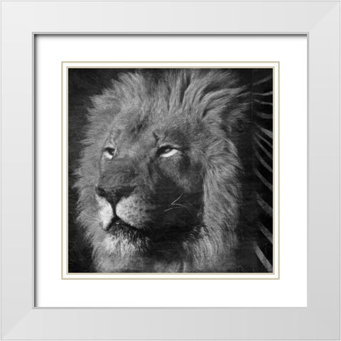 Animal Instincts Black And White White Modern Wood Framed Art Print with Double Matting by Grey, Jace