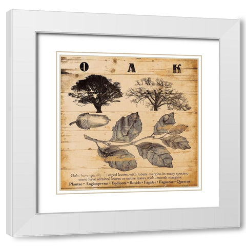 Oak Burnt White Modern Wood Framed Art Print with Double Matting by Grey, Jace