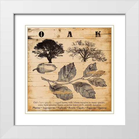 Oak Burnt White Modern Wood Framed Art Print with Double Matting by Grey, Jace