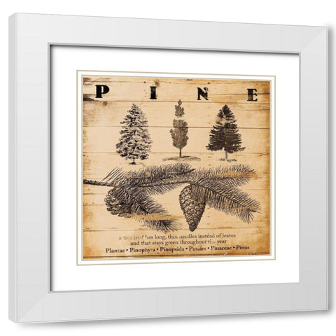 Pine Burnt White Modern Wood Framed Art Print with Double Matting by Grey, Jace