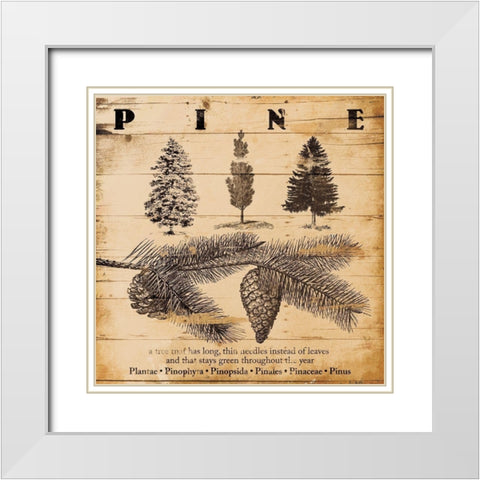 Pine Burnt White Modern Wood Framed Art Print with Double Matting by Grey, Jace