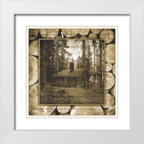 In The Woods Sepia White Modern Wood Framed Art Print with Double Matting by Grey, Jace