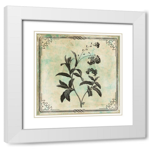 Bordered Stencil Floral White Modern Wood Framed Art Print with Double Matting by Grey, Jace