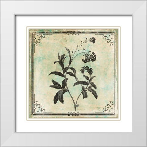 Bordered Stencil Floral White Modern Wood Framed Art Print with Double Matting by Grey, Jace