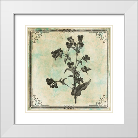 Bordered Stencil Floral Mate White Modern Wood Framed Art Print with Double Matting by Grey, Jace