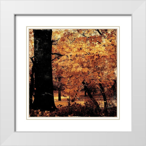 Fall Forest Mate White Modern Wood Framed Art Print with Double Matting by Grey, Jace